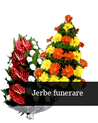 Jerbe funerare